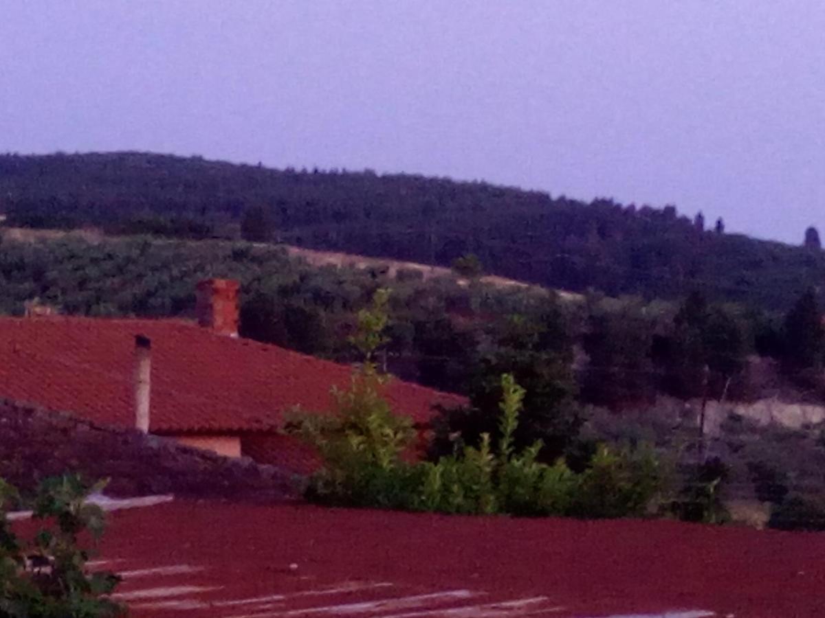 Maison Des Amis Vatopédhion Dış mekan fotoğraf